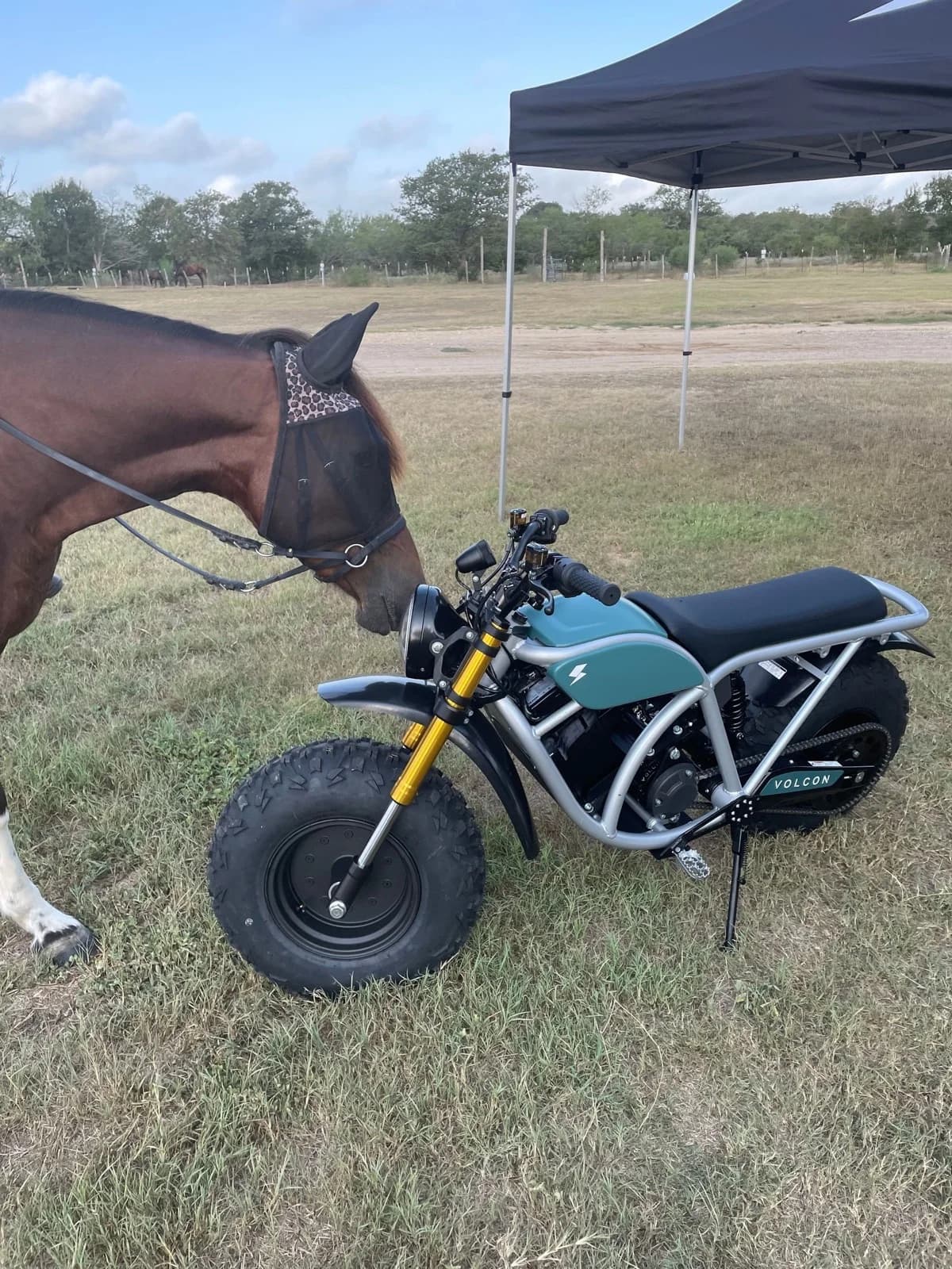 2022 Volcon Grunt with an admirer